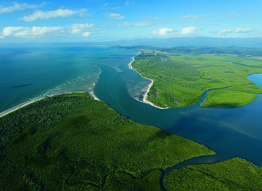 Explore The Daintree